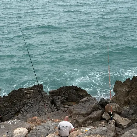 Magic World Paradise * El Borseral